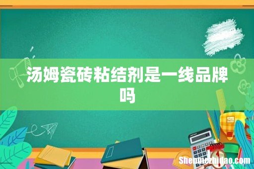 汤姆瓷砖粘结剂是一线品牌吗