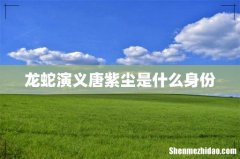 龙蛇演义唐紫尘是什么身份
