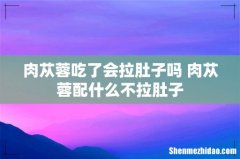 肉苁蓉吃了会拉肚子吗 肉苁蓉配什么不拉肚子