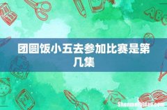 团圆饭小五去参加比赛是第几集