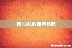 有13孔的葫芦丝吗