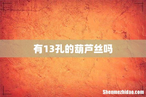 有13孔的葫芦丝吗