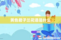 黄色君子兰花语是什么