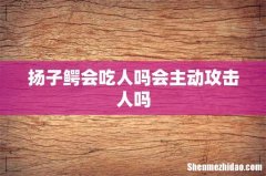 扬子鳄会吃人吗会主动攻击人吗