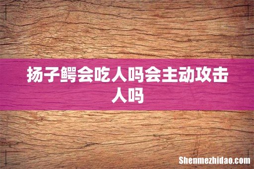 扬子鳄会吃人吗会主动攻击人吗