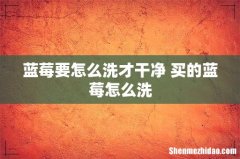 蓝莓要怎么洗才干净 买的蓝莓怎么洗