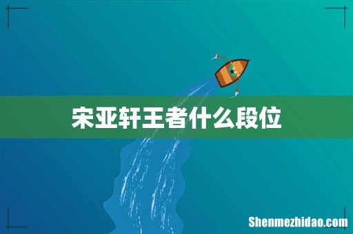 宋亚轩王者什么段位