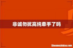 非诚勿扰高纯牵手了吗