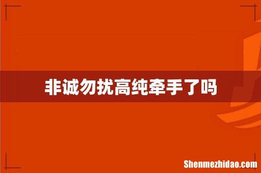 非诚勿扰高纯牵手了吗