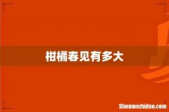 柑橘春见有多大