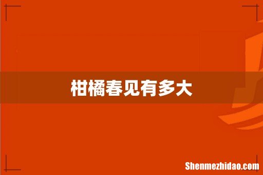 柑橘春见有多大