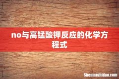 no与高锰酸钾反应的化学方程式