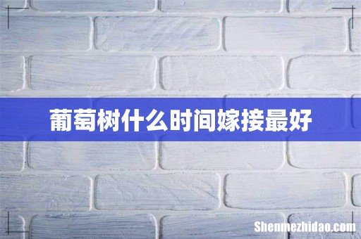 葡萄树什么时间嫁接最好