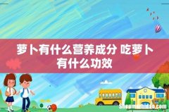 萝卜有什么营养成分 吃萝卜有什么功效
