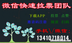 湖南人工微信投票团队价格多少钱一票 微信投票价格低是人工拉票吗?最低的人工投票多少钱