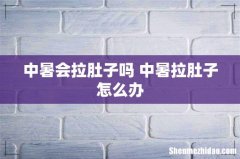 中暑会拉肚子吗 中暑拉肚子怎么办