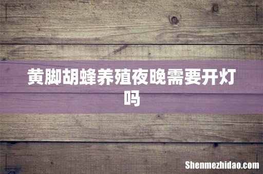 黄脚胡蜂养殖夜晚需要开灯吗