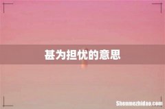 甚为担忧的意思