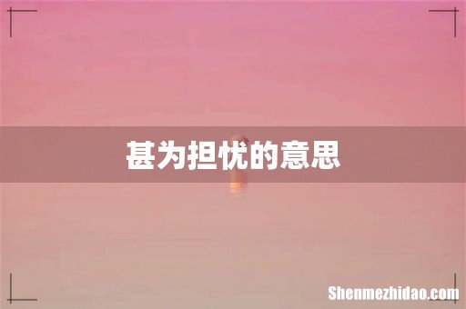 甚为担忧的意思