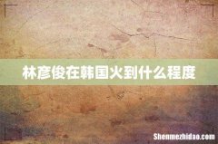 林彦俊在韩国火到什么程度