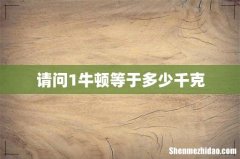 请问1牛顿等于多少千克