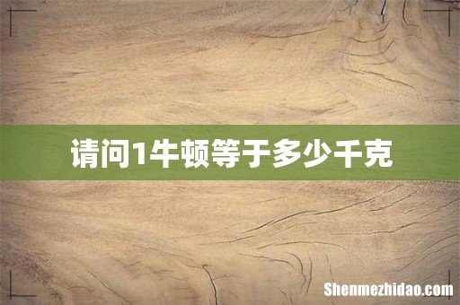 请问1牛顿等于多少千克