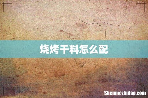 烧烤干料怎么配