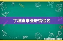 丁程鑫宋亚轩情侣名