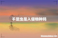 千足虫是入侵物种吗