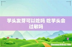芋头发芽可以吃吗 吃芋头会过敏吗
