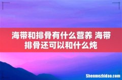 海带和排骨有什么营养 海带排骨还可以和什么炖