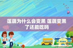 莲藕为什么会变黑 莲藕变黑了还能吃吗