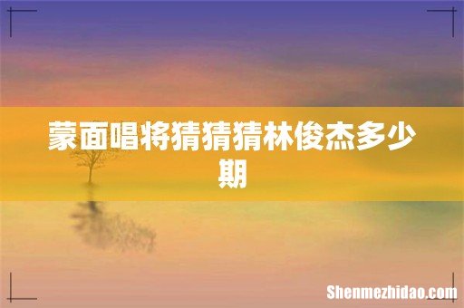 蒙面唱将猜猜猜林俊杰多少期