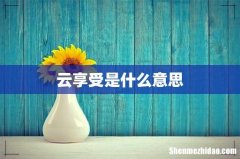 云享受是什么意思