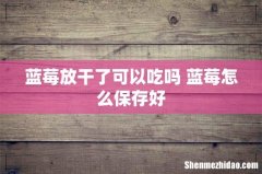 蓝莓放干了可以吃吗 蓝莓怎么保存好