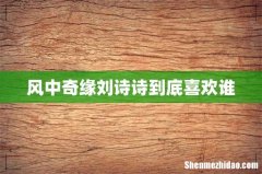 风中奇缘刘诗诗到底喜欢谁