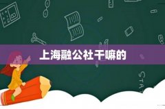 上海融公社干嘛的