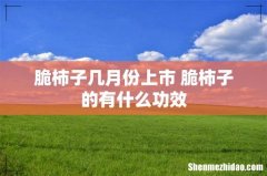 脆柿子几月份上市 脆柿子的有什么功效