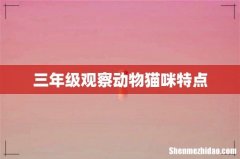 三年级观察动物猫咪特点