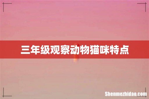 三年级观察动物猫咪特点