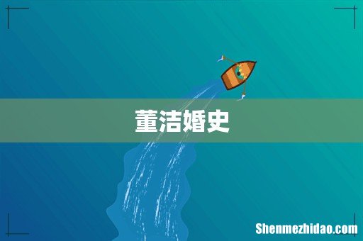 董洁婚史