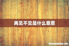 再见不见是什么意思