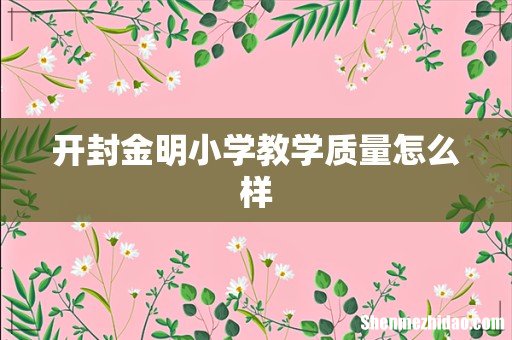 开封金明小学教学质量怎么样