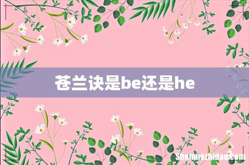 苍兰诀是be还是he
