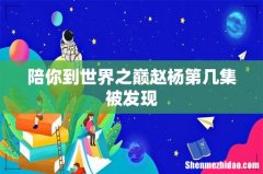 陪你到世界之巅赵杨第几集被发现