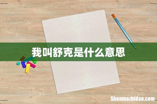 我叫舒克是什么意思