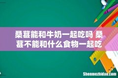 桑葚能和牛奶一起吃吗 桑葚不能和什么食物一起吃