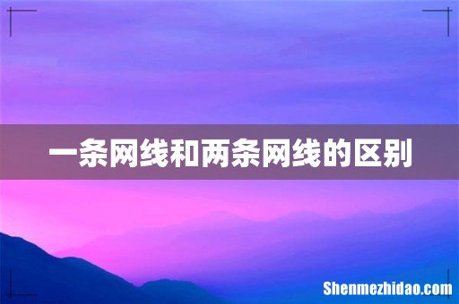 一条网线和两条网线的区别