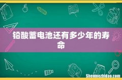 铅酸蓄电池还有多少年的寿命