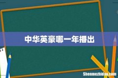 中华英豪哪一年播出
